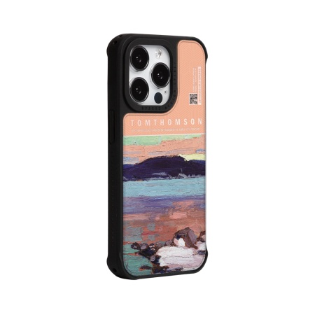 Чехол для смартфона DPARKS Tom Thompson Пейзаж разноцветный